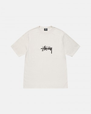 Stussy Small Stock Pigment Dyed T Paidat Beige | 60375-CKOQ