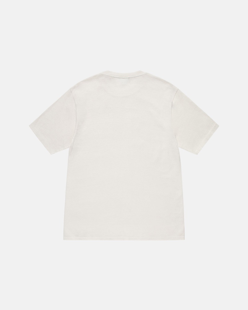 Stussy Small Stock Pigment Dyed T Paidat Beige | 60375-CKOQ