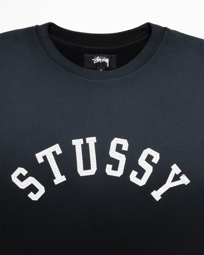 Stussy Sun Faded Oversized Crew Puserot Mustat | 49037-YCQB